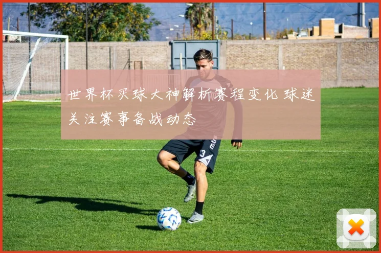 世界杯买球大神解析赛程变化 球迷关注赛事备战动态